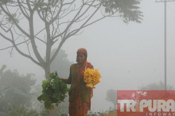 Tripura shivers as Minimum temperature fluctuate between 7 and 9 degrees Celsius